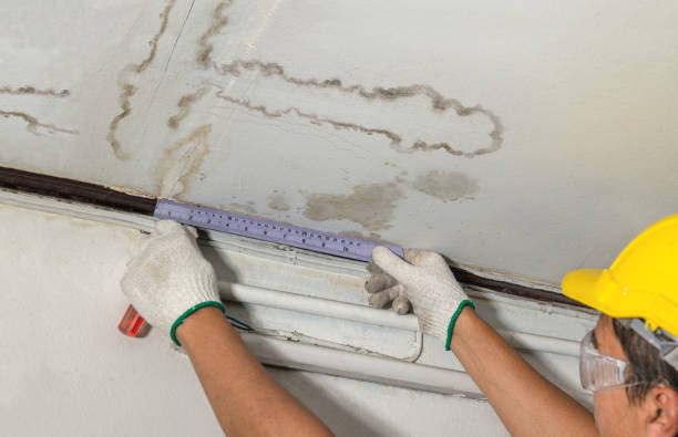 Reliable Structural Drying contractor in Ferndale, CA by Water Damage Irwin